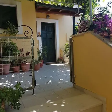 Rema Apartament *